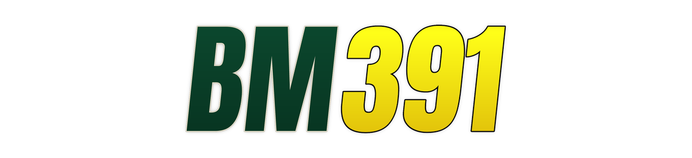 bm391